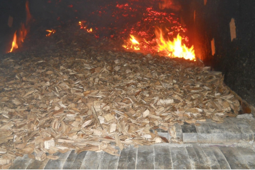 Forest Furnaces Are Not Renewable Energy 1