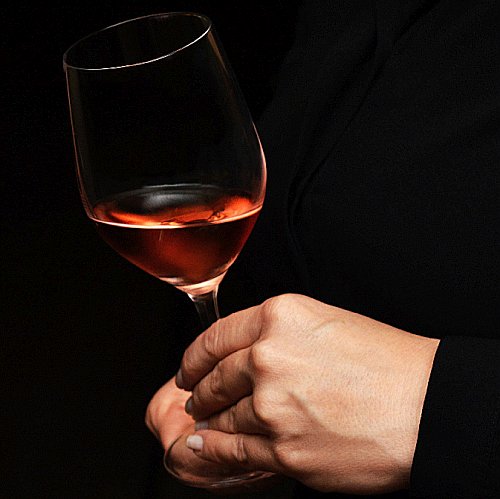 Rosé in the Pink 16 Rosé in the Pink 16