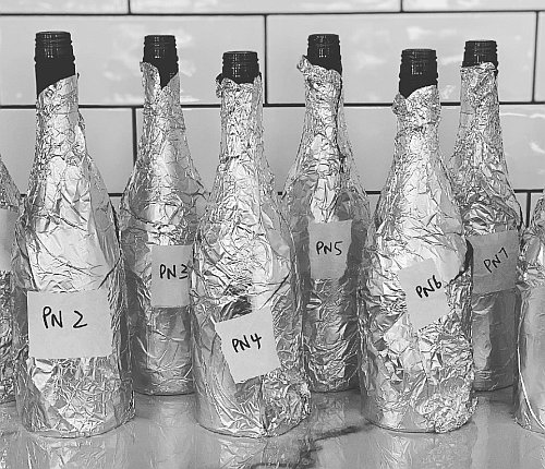 Collaboration Key to Marketing Wines of Tasmania 19