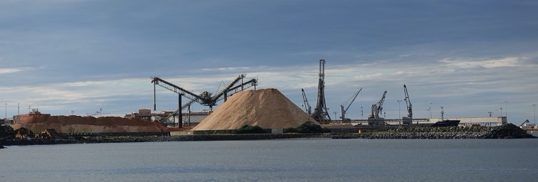Woodchips or Wilderness? 5 Woodchips or Wilderness? 5