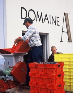 Arts Patronage Part of Althaus Domain 16 Arts Patronage Part of Althaus Domain 16