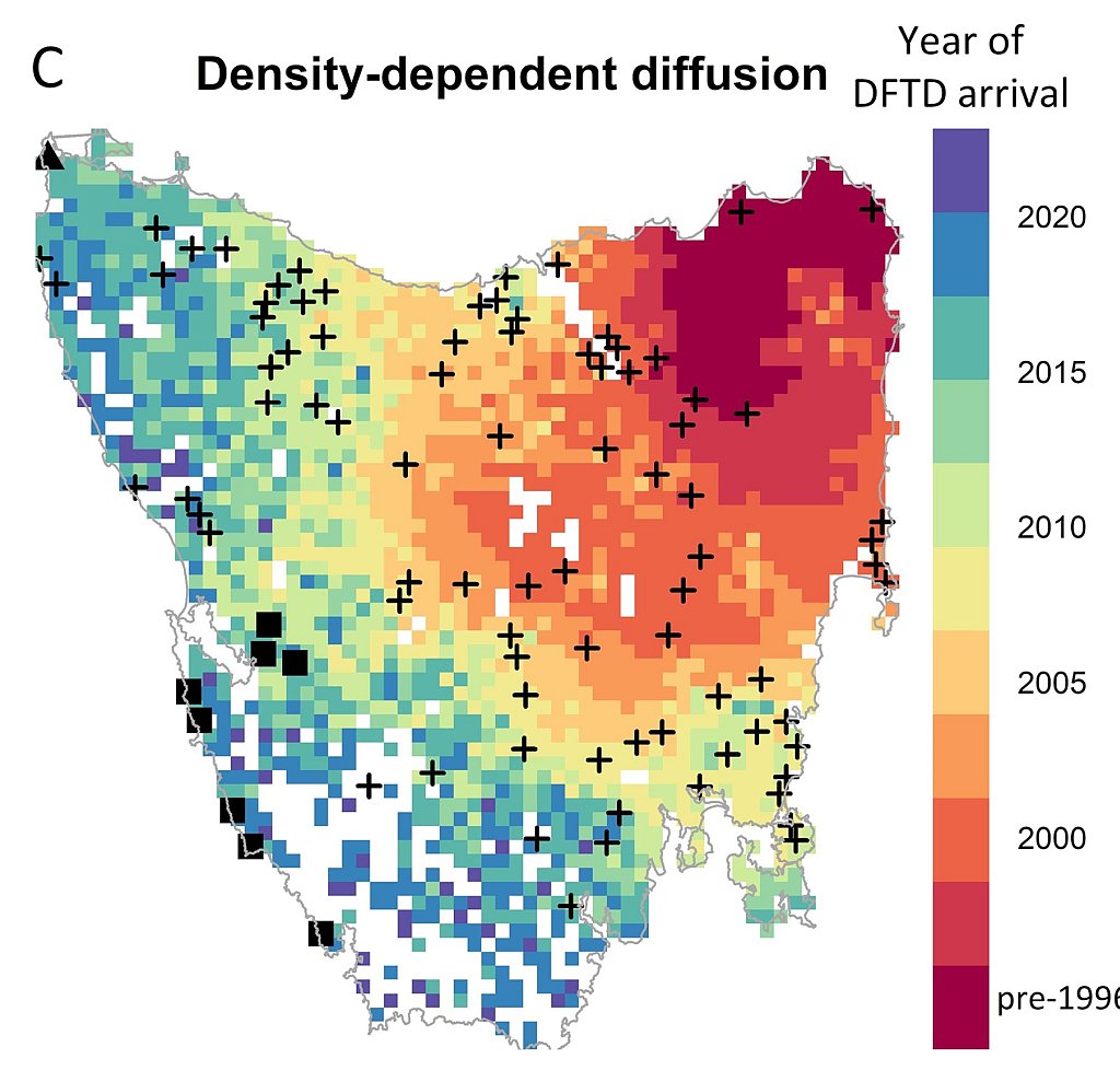 Study Quantifies Devils’ Decline due to DFTD 5 Study Quantifies Devils’ Decline due to DFTD 5