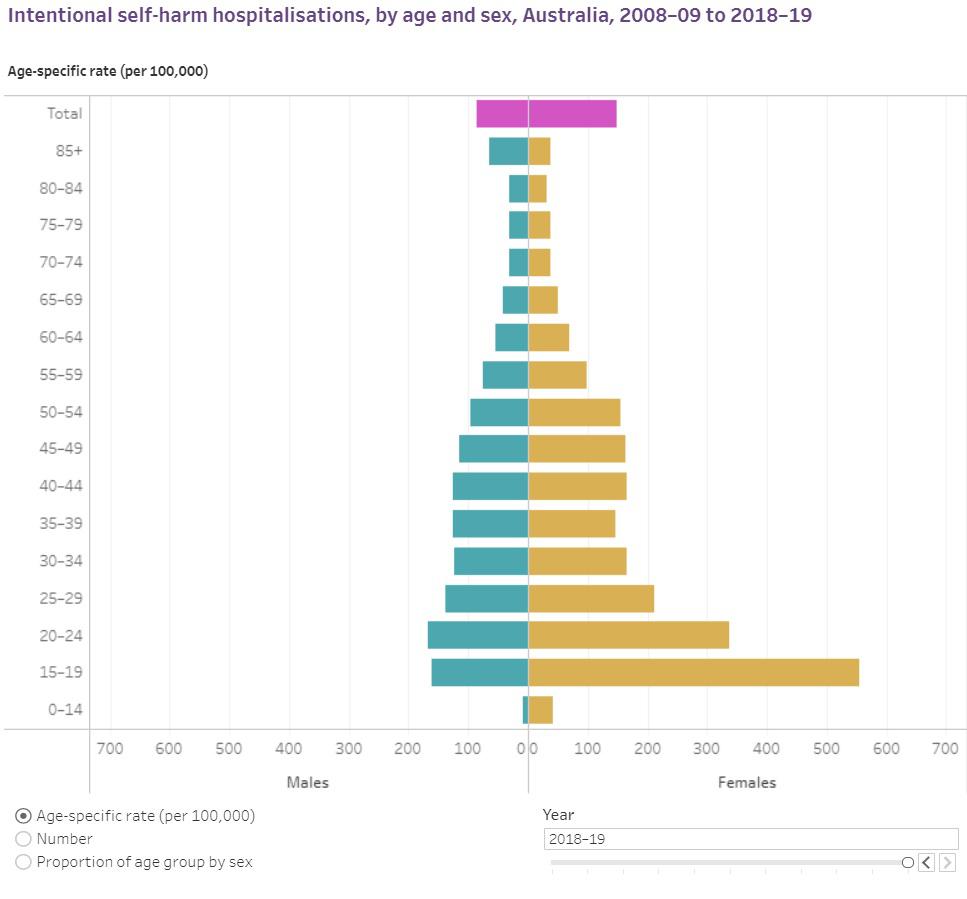 'Youth Suicide Rates Devastating Families & Communities' 13