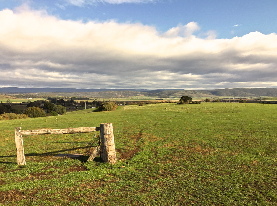 Heartlands Need a Tasmanian Rural and Regional Art Gallery 1 Heartlands Need a Tasmanian Rural and Regional Art Gallery 1