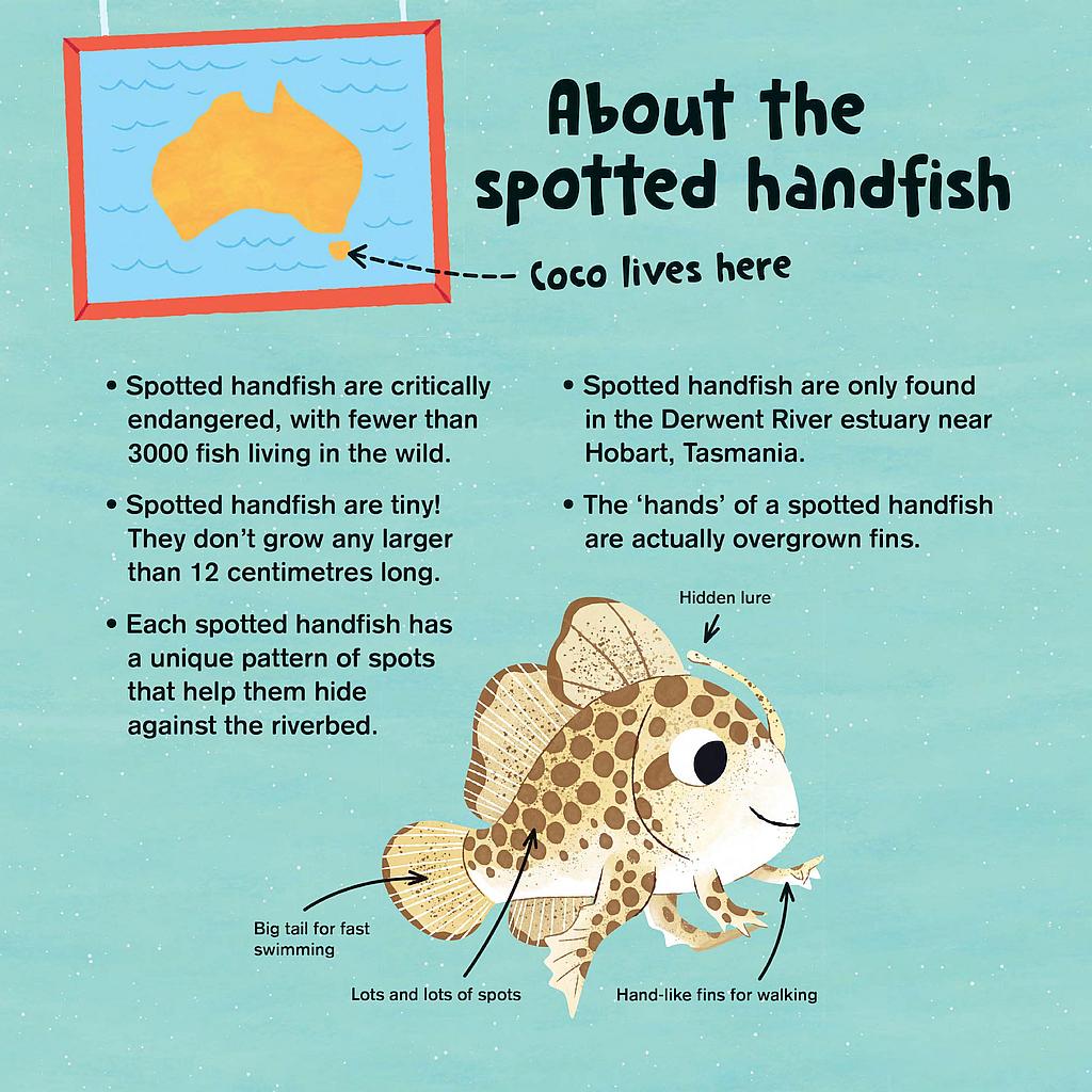 Review - 'Coco, the Fish with Hands' 12 Review - 'Coco, the Fish with Hands' 12