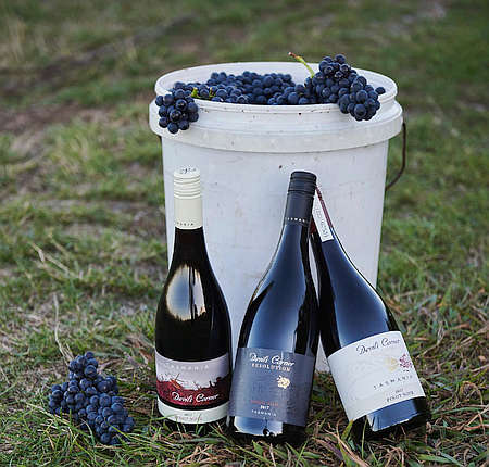 Vineyard Manager having Devil of a Time 16 Vineyard Manager having Devil of a Time 16