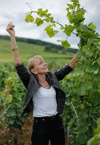 Unique Remedy for Out-of-sorts Wine Mates 17 Unique Remedy for Out-of-sorts Wine Mates 17