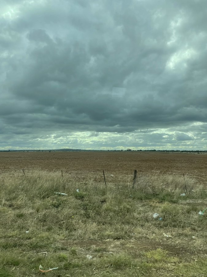 'Lost Boys' Western United No Solution for Tasmania 4