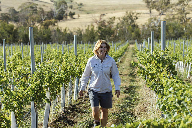 Winemaker Awards have Tasmanian Flavour 15 Winemaker Awards have Tasmanian Flavour 15