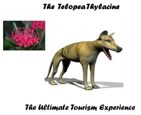 The Telopea Thylacine 4 The Telopea Thylacine 4