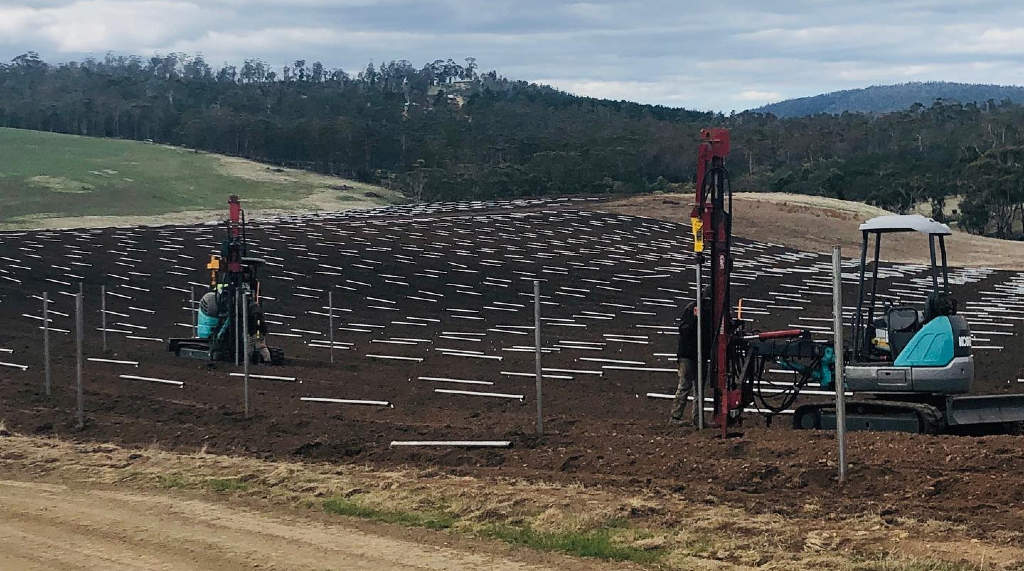 New Vine Projects Grow Industry Future 19