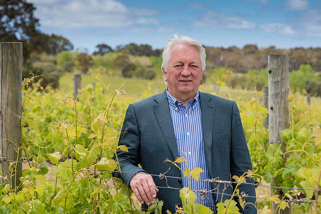 New Vine Projects Grow Industry Future 16