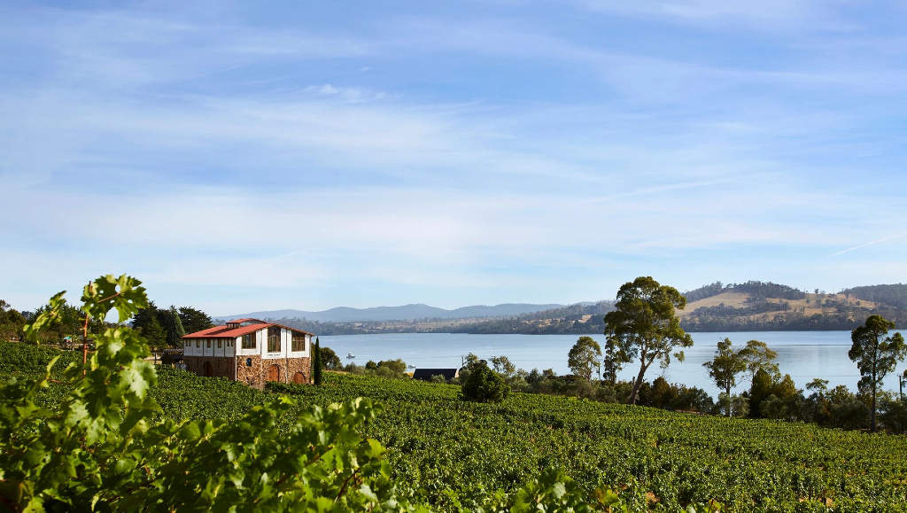 New Cellar Door Rises to Top Awards 22 New Cellar Door Rises to Top Awards 22